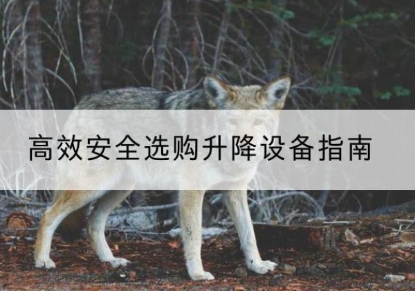 琼结升降货梯厂家推荐-*安全选购升降设备指南