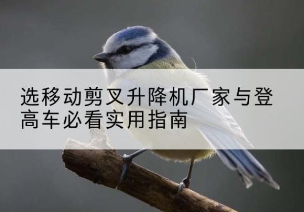 琼结电动升降机厂家-选移动剪叉升降机厂家与登高车必看实用指南