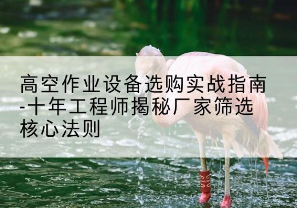 琼结剪叉式升降机厂家-高空作业设备选购实战指南-十年工程师揭秘厂家筛选核心法则